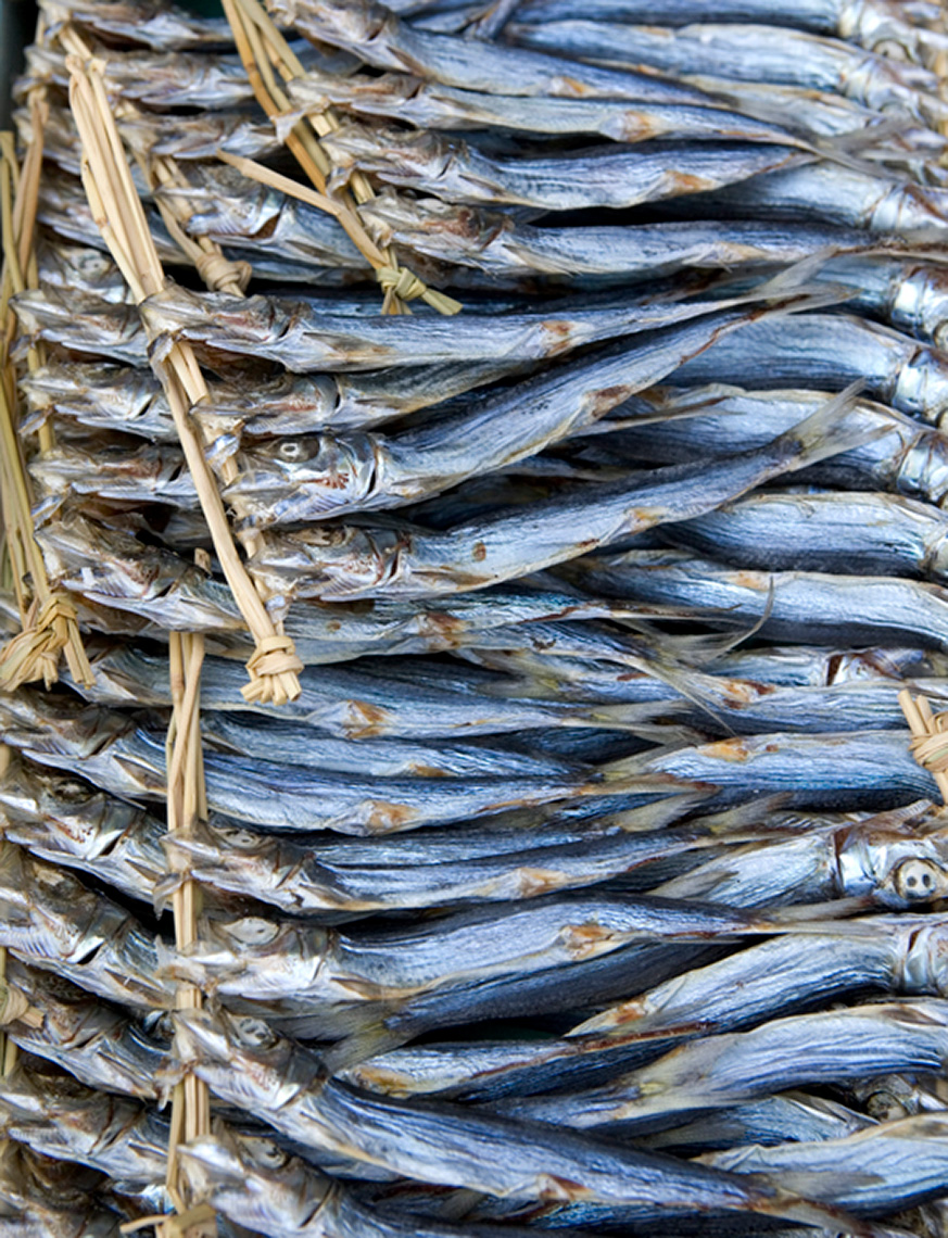 050425-33-FishOnStraw