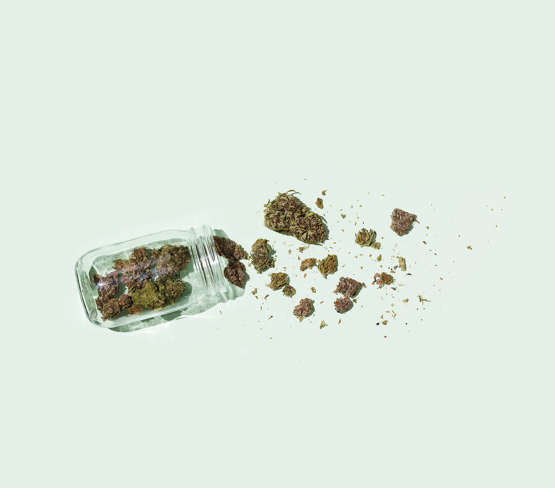 JarOfBuds