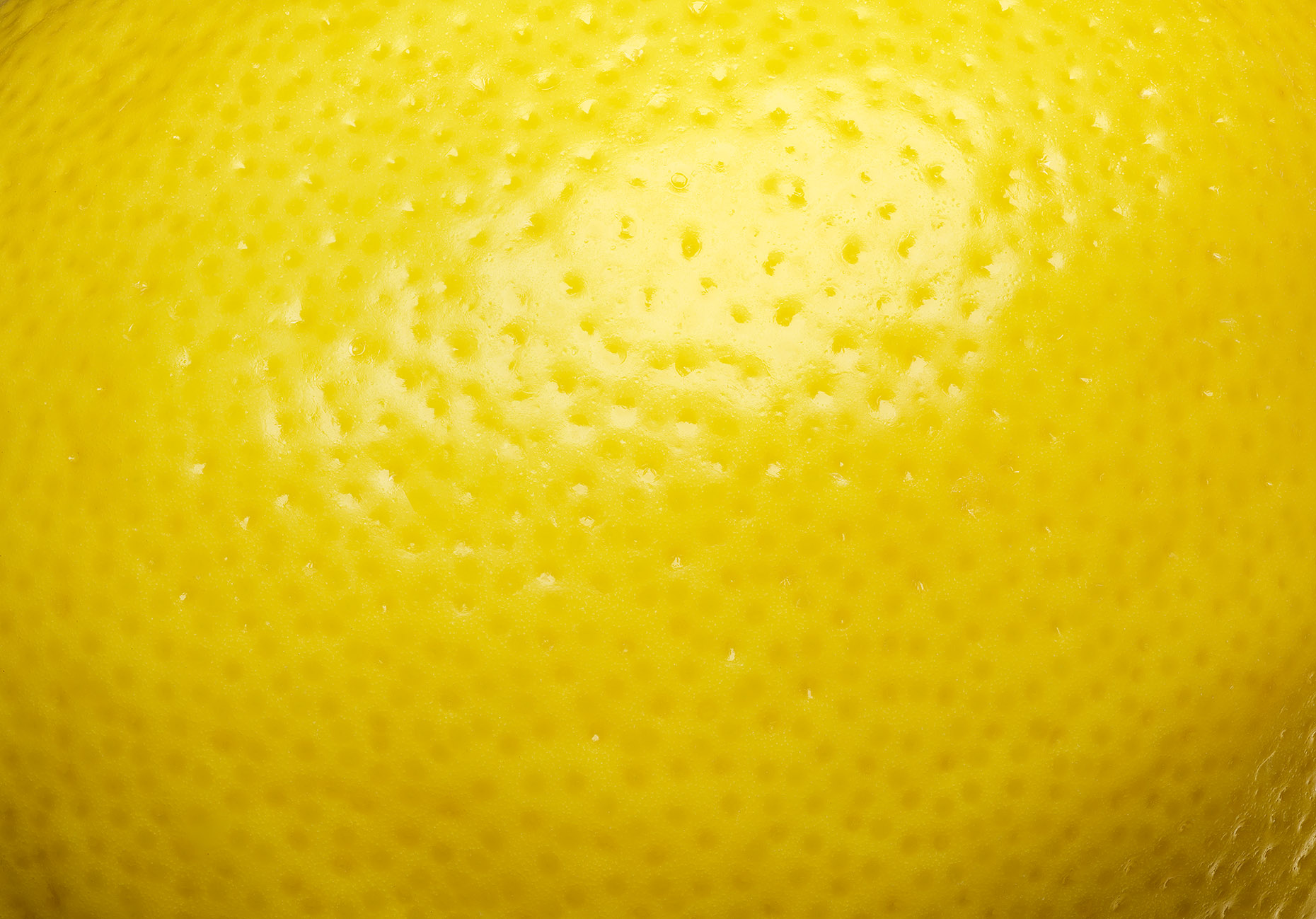 Lemon_FINAL_FullRes