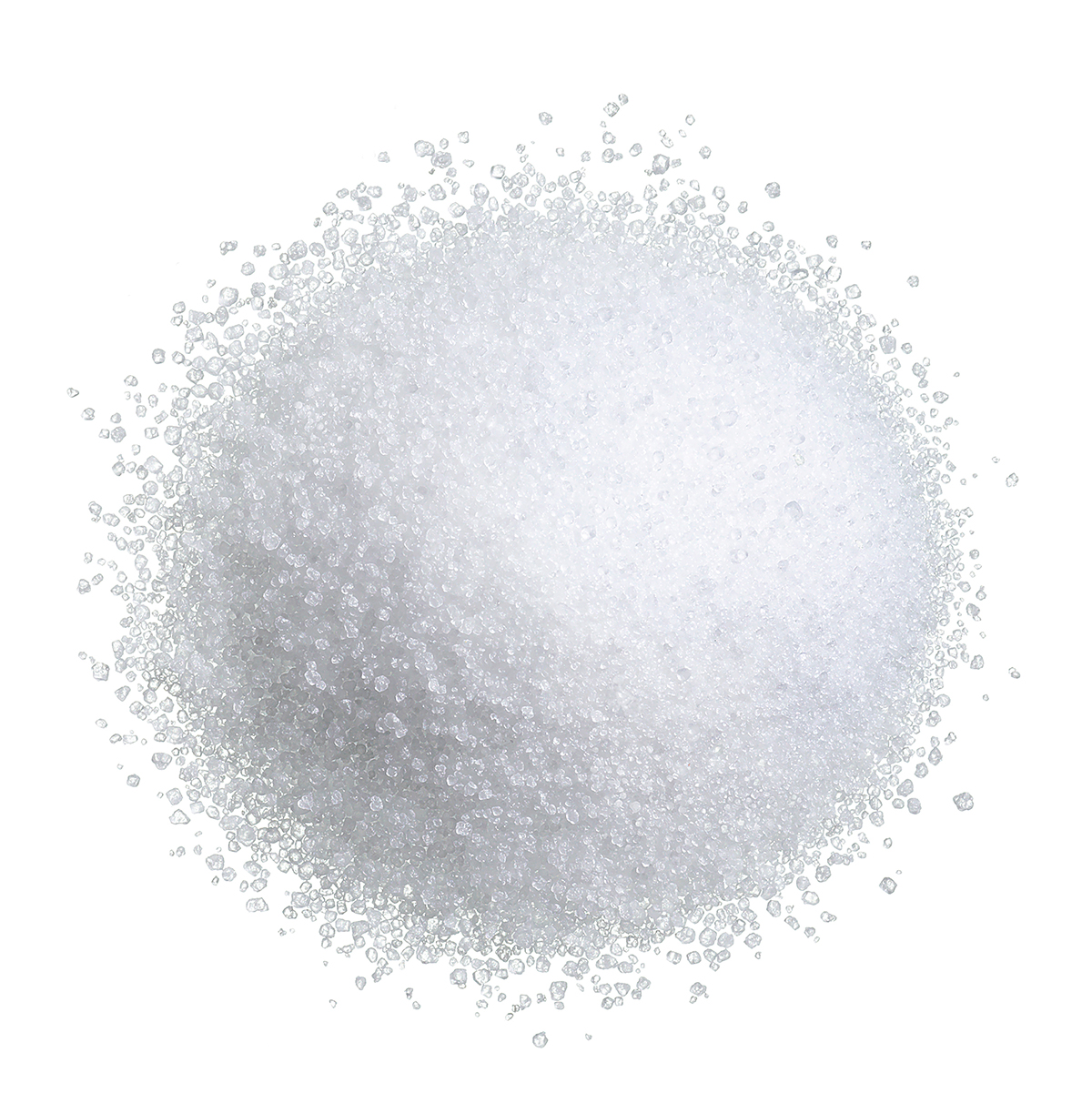 MarenCaruso_Sugar